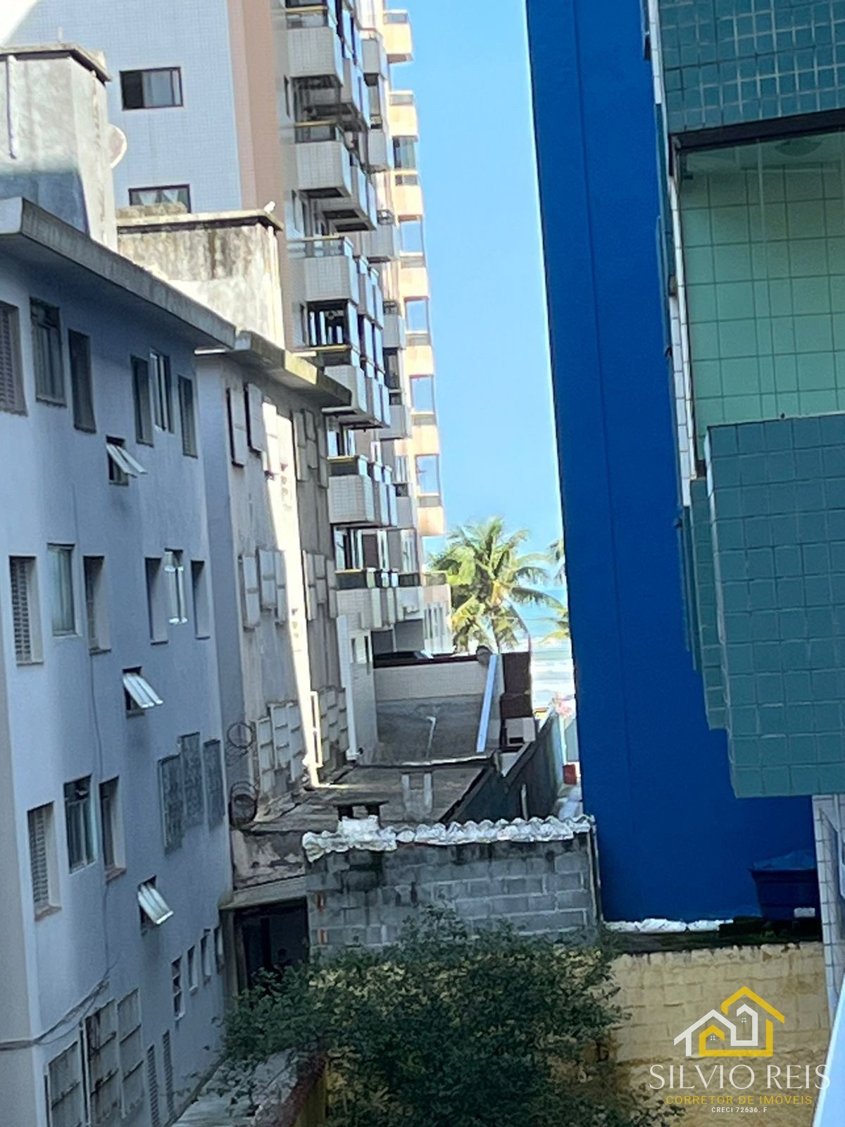 WhatsApp Image 2025-02-01 at 13.15.29