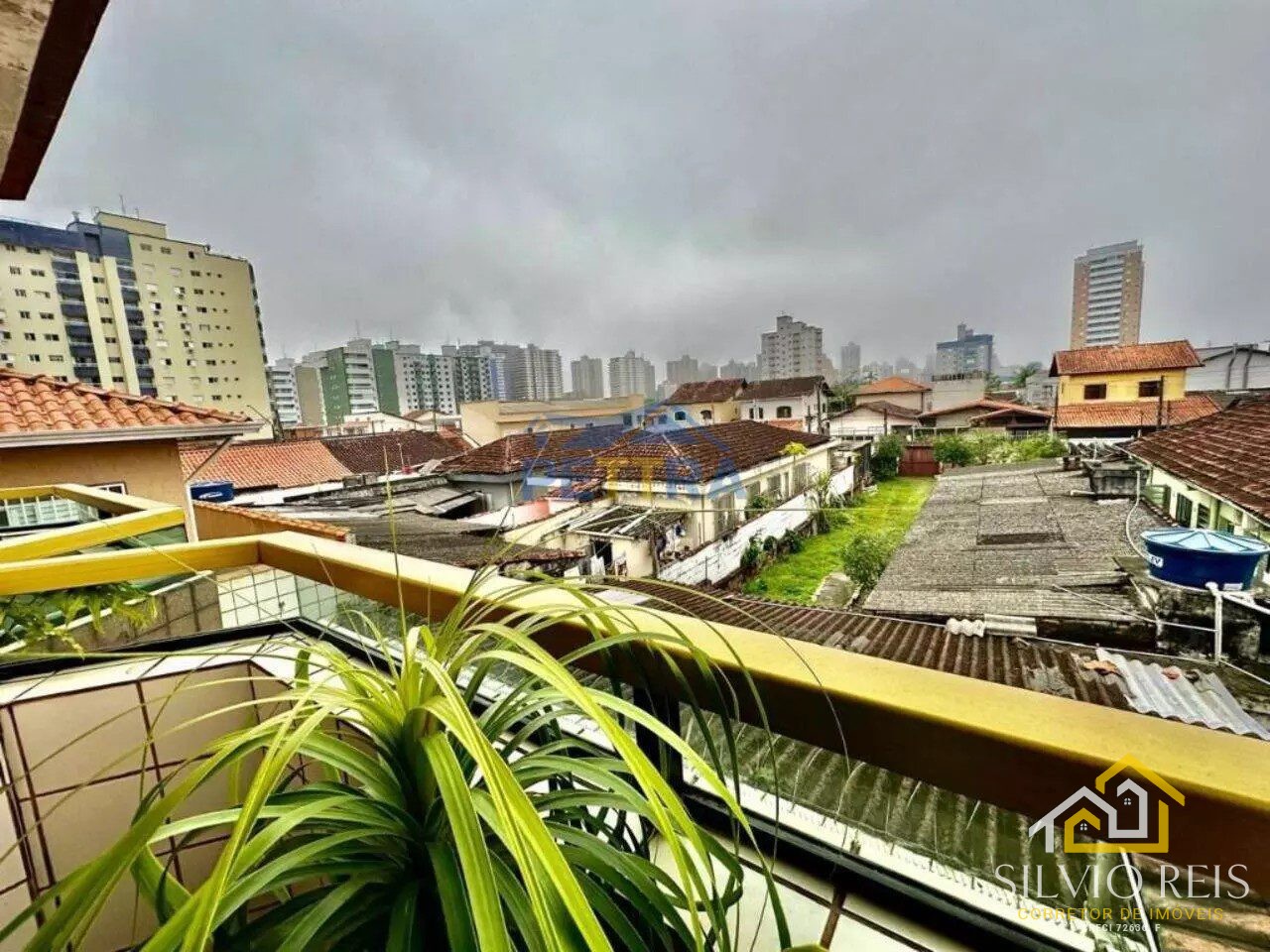 WhatsApp Image 2025-02-03 at 17.47.58