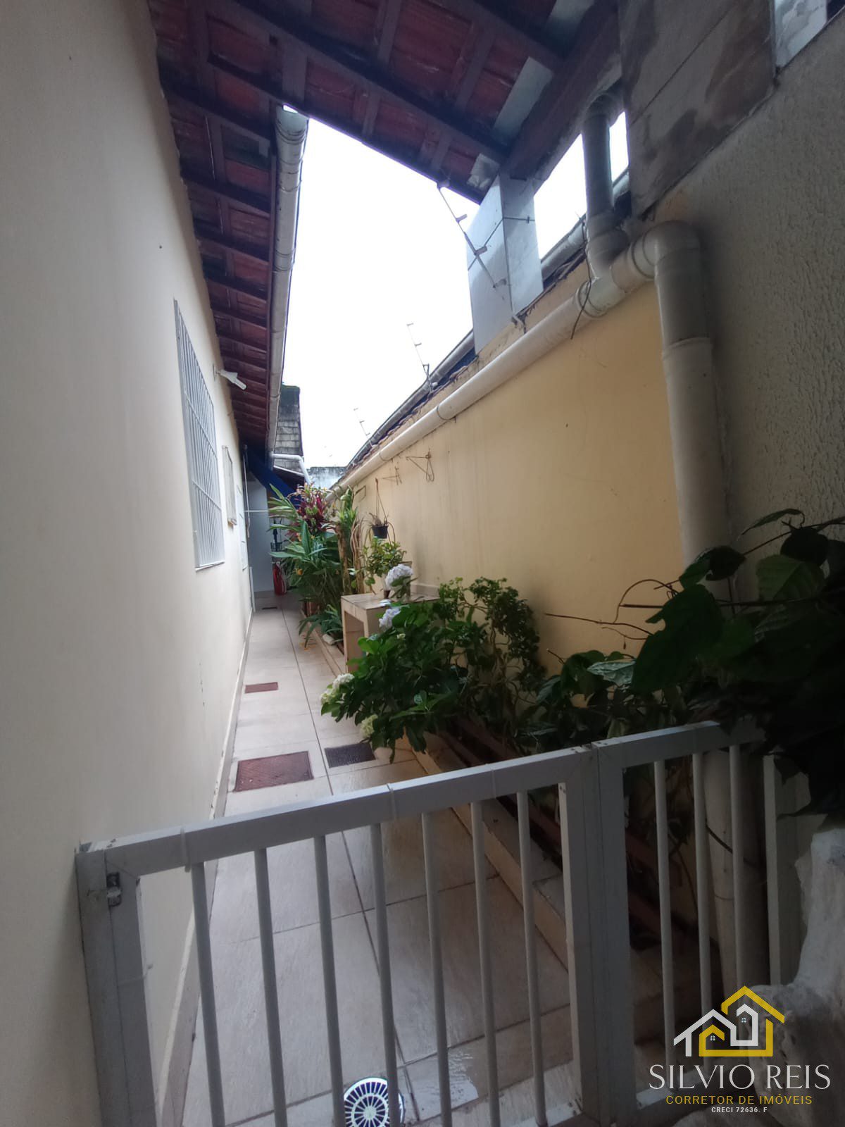 WhatsApp Image 2025-04-04 at 15.53.56